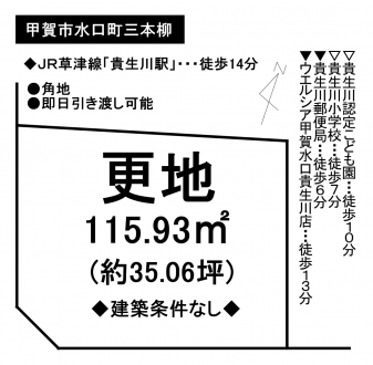 土地 - 滋賀県甲賀市水口町三本柳